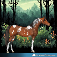 Horse Color:White Spotted Bay Tobiano