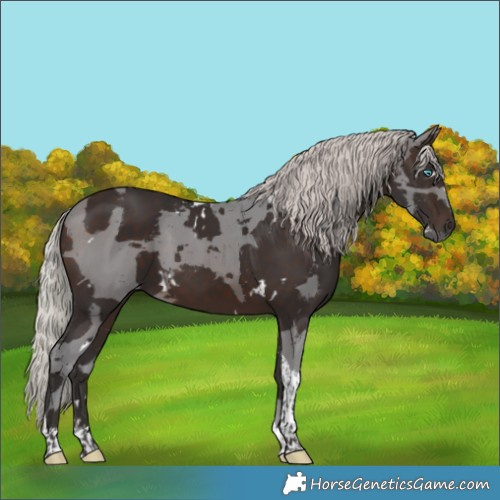 Horse Color:White Spotted Silver Brown Merle Tobiano 