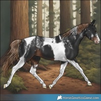 Horse Color:Powder White Liver Chestnut Tobiano 