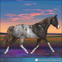 Horse Color:Powder White White Spotted Liver Chestnut 
