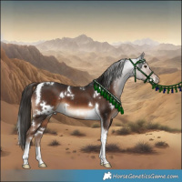 Horse Color:White Spotted Liver Chestnut Tobiano 