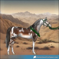 Horse Color:White Spotted Liver Chestnut Tobiano