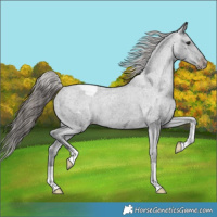Horse Color:Black Varnish