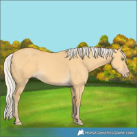 Horse Color:Silver Amber Cream Champagne Dun 