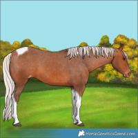 Horse Color:Silver Bay Tobiano Varnish 