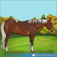 Horse Color:Silver Bay Tobiano 