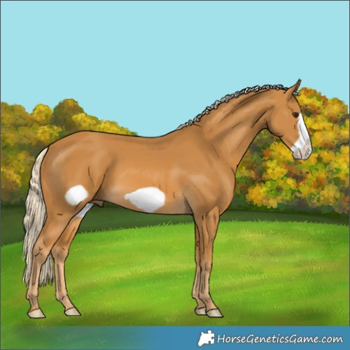 Horse Color:Palomino Frame 