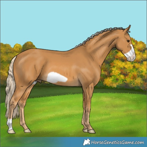 Horse Color:Palomino Frame 