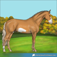 Horse Color:Palomino Frame