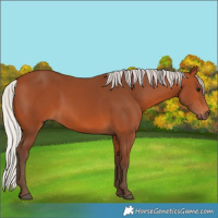 Horse Color:Silver Bay