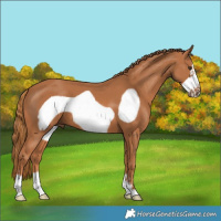 Horse Color:Chestnut Frame