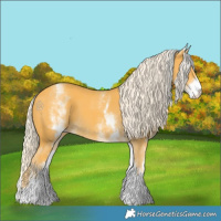 Horse Color:White Spotted Gold Cream Champagne 