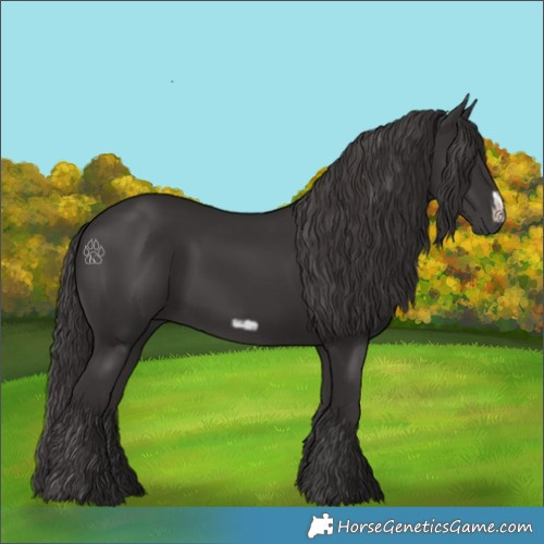 Horse Color:Smoky Black and Smoky Black Frame
