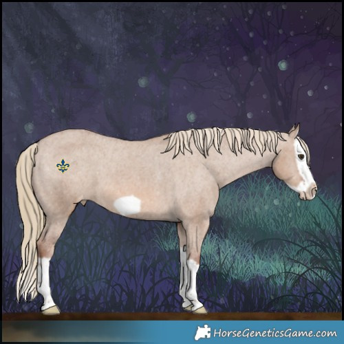 Horse Color:Red Dun Splash Frame Varnish 
