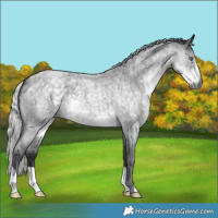 Horse Color:Silver Smoky Blue Chinchilla Roan