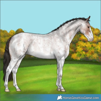 Horse Color:Liver Red Roan Sabino