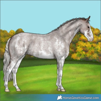 Horse Color:Silver Blue Roan Sabino 