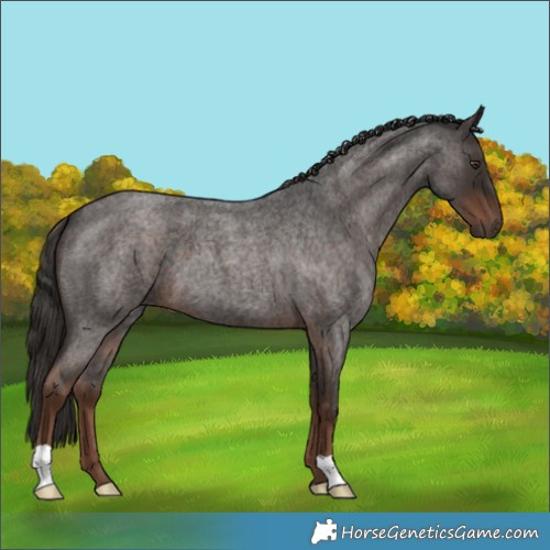 Horse Color:Liver Red Roan 