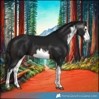 Horse Color:Gray White Spotted Brown