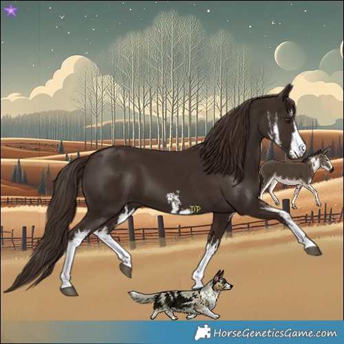 Horse Color:White Spotted Liver Chestnut 