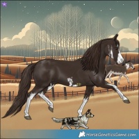 Horse Color:White Spotted Liver Chestnut 