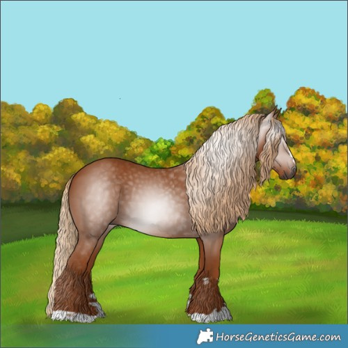 Horse Color:Gray Chestnut