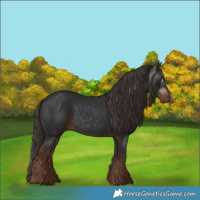 Horse Color:Gray White Spotted Liver Chestnut 