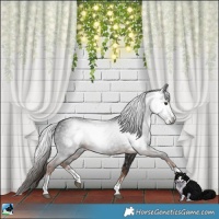 Horse Color:Gray White Spotted Liver Chestnut 
