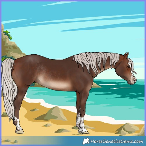 Horse Color:Silver Brown Rabicano 