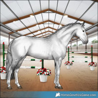 Horse Color:Gray Brown Tobiano 