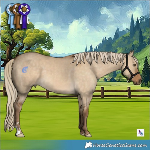 Horse Color:Chocolate Palomino Dun 