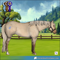 Horse Color:Chocolate Palomino Dun 