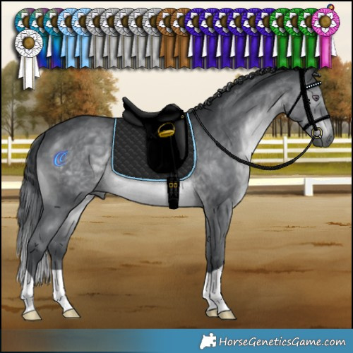 Horse Color:Brown Chinchilla 