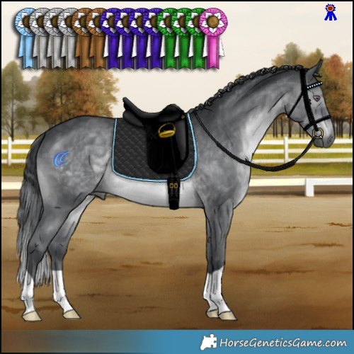 Horse Color:Brown Chinchilla 