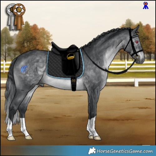 Horse Color:Brown Chinchilla 