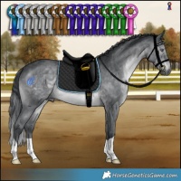 Horse Color:Brown Chinchilla 