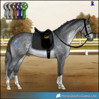 Horse Color:Brown Chinchilla 