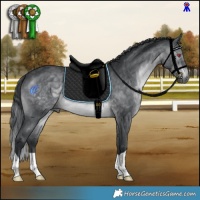 Horse Color:Brown Chinchilla 