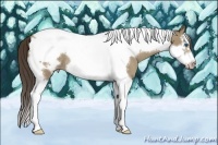 Horse Color:Classic Cream Champagne Splash Tobiano Frame Rabicano