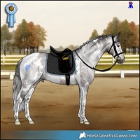 Horse Color:Gray White Spotted Bay Ice Tobiano