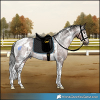 Horse Color:Gray White Spotted Bay Ice Tobiano 