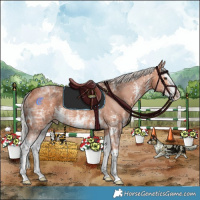 Horse Color:Silver Bay Ice Sabino Splash Rabicano 