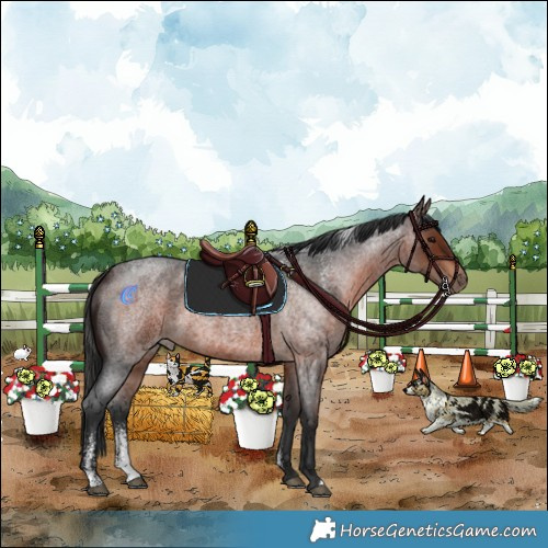 Horse Color:Powder White Brown Roan