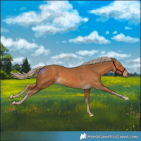 Horse Color:Palomino Mushroom