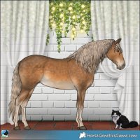 Horse Color:Chocolate Palomino Mushroom 