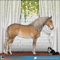 Horse Color:Chocolate Palomino Mushroom 