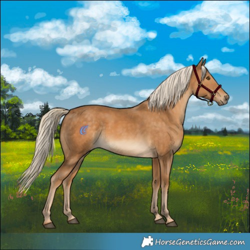 Horse Color:Palomino Mushroom 