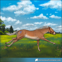 Horse Color:Palomino Mushroom