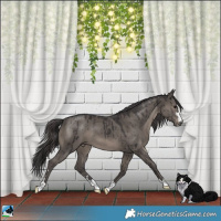 Horse Color:Smoky Grullo Brindle