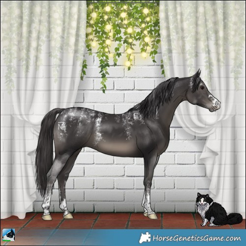 Horse Color:Powder White Smoky Black 